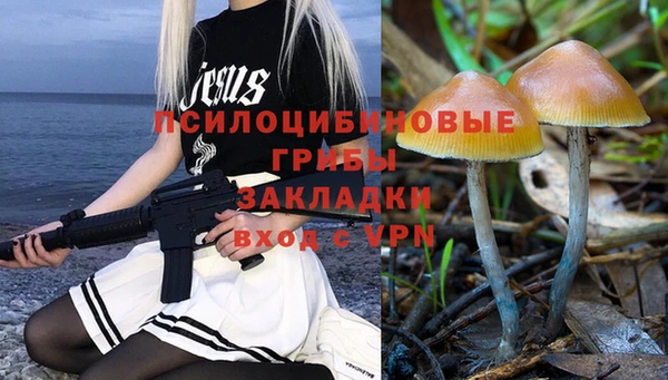 прущие грибы Богородск