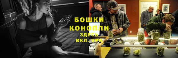прущие грибы Богородск