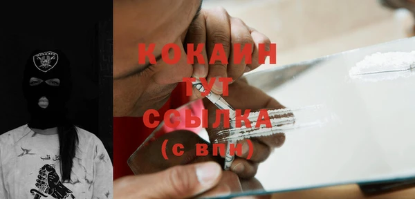 прущие грибы Богородск
