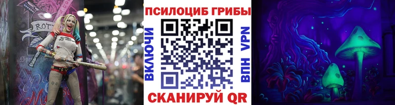 Галлюциногенные грибы мицелий  мега сайт  Мезень 